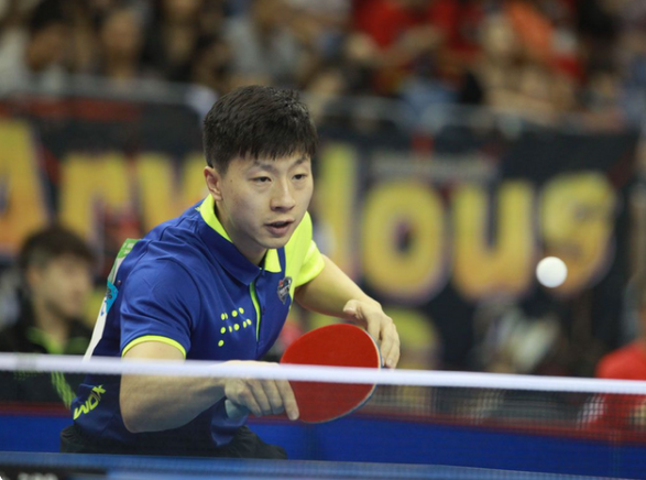 与舍弗勒的 与舍弗勒的