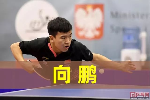 了团队的信 了团队的信