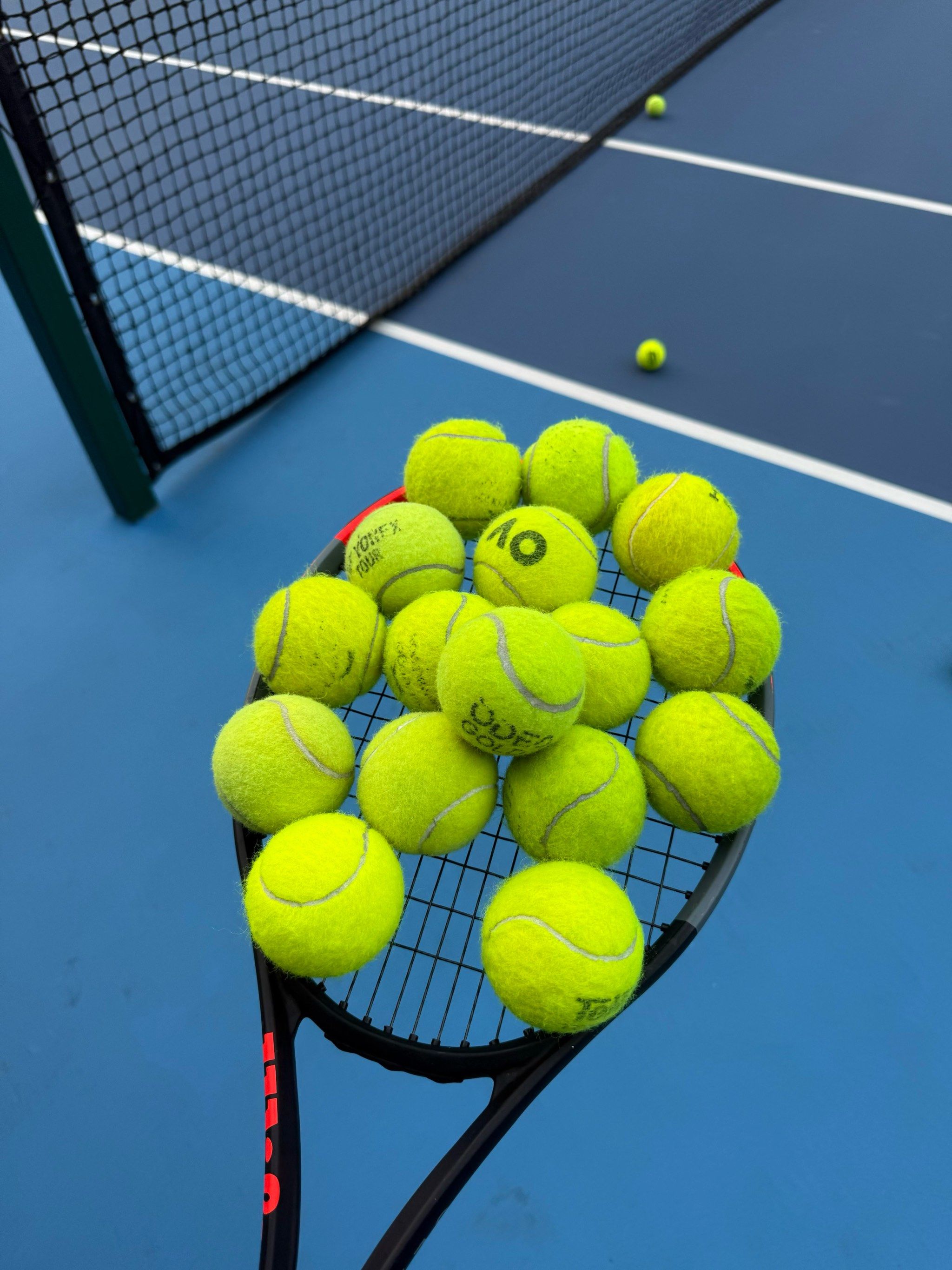 不仅能与家 不仅能与家