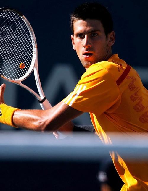 我们一探究 我们一探究