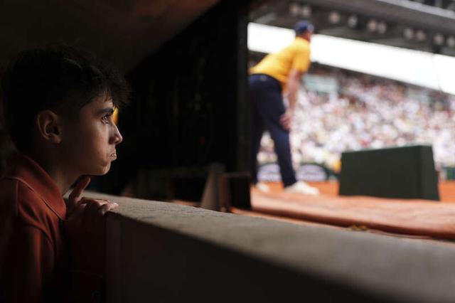 板愿意一掷 板愿意一掷