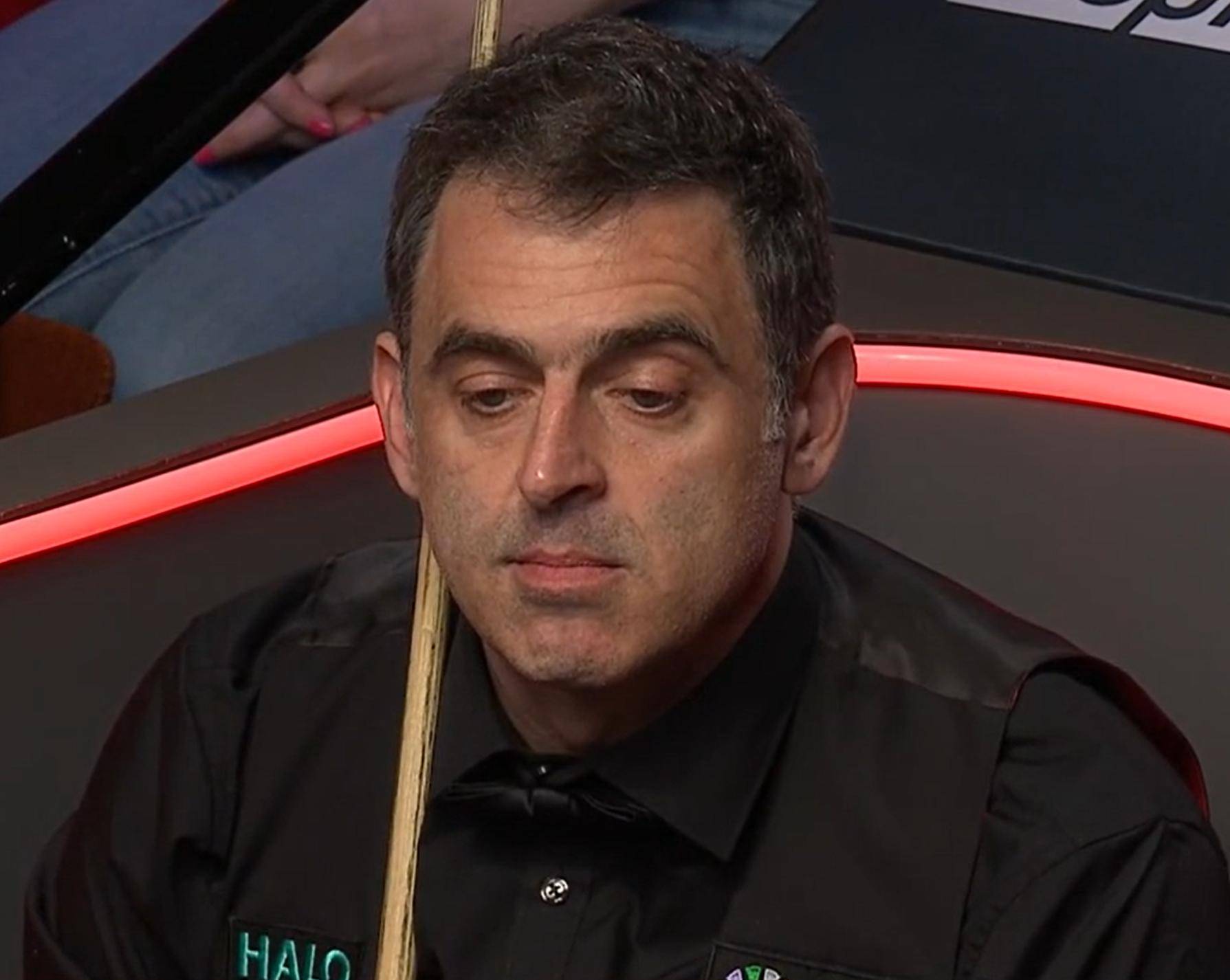 确实已经正 确实已经正